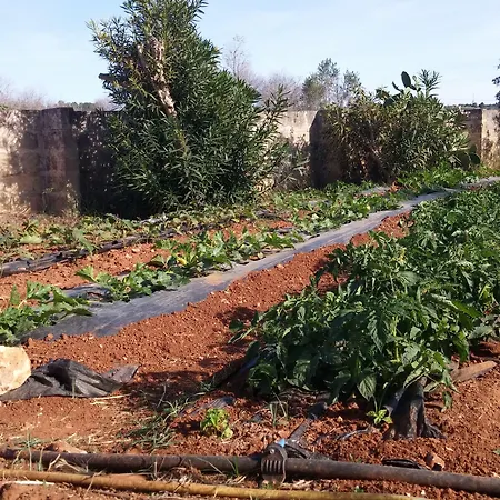 伊尔特拉佩托农家乐