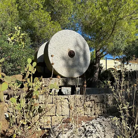 Il Trappeto Alloggio per agriturismo Gallipoli
