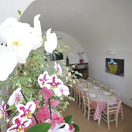 Il Trappeto Farm stay *