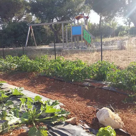 Il Trappeto * ガリポリ