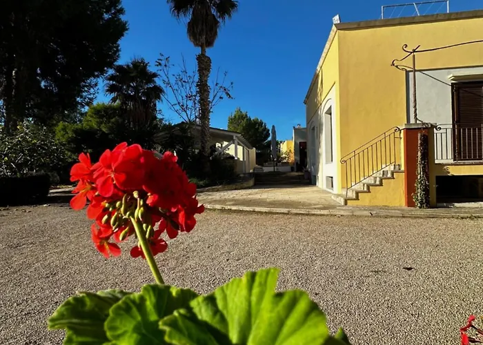 Il Trappeto * Gallipoli